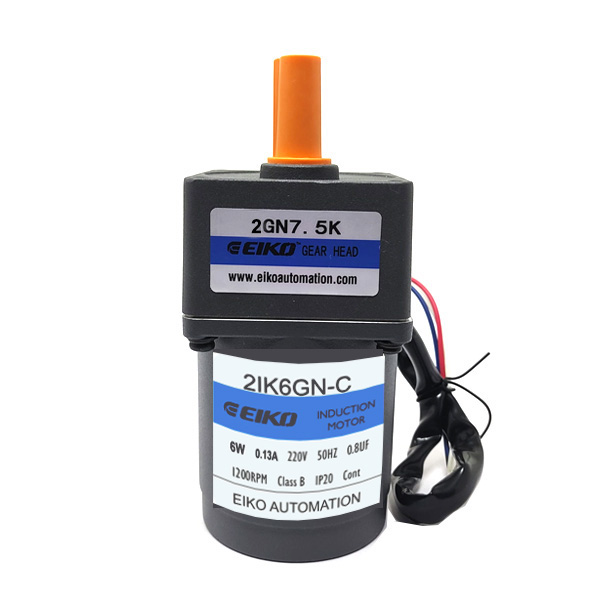 6W AC Induction Motor